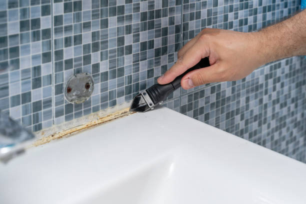 Best Mold Cleaning Services  in Wheatley Heights, NY